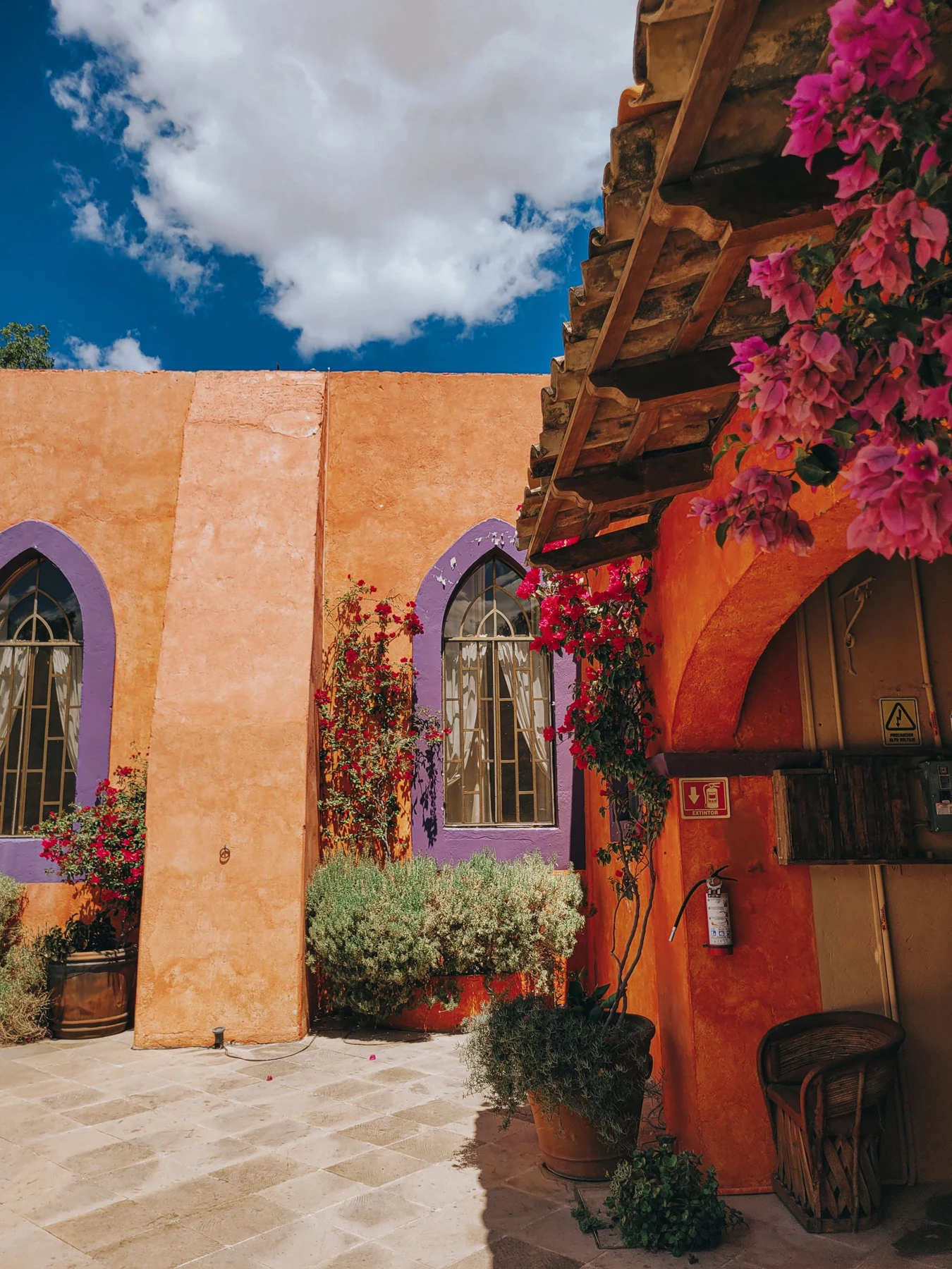 Patio de arquitectura mexicana con muros de color y vegetación en Dolores Hidalgo