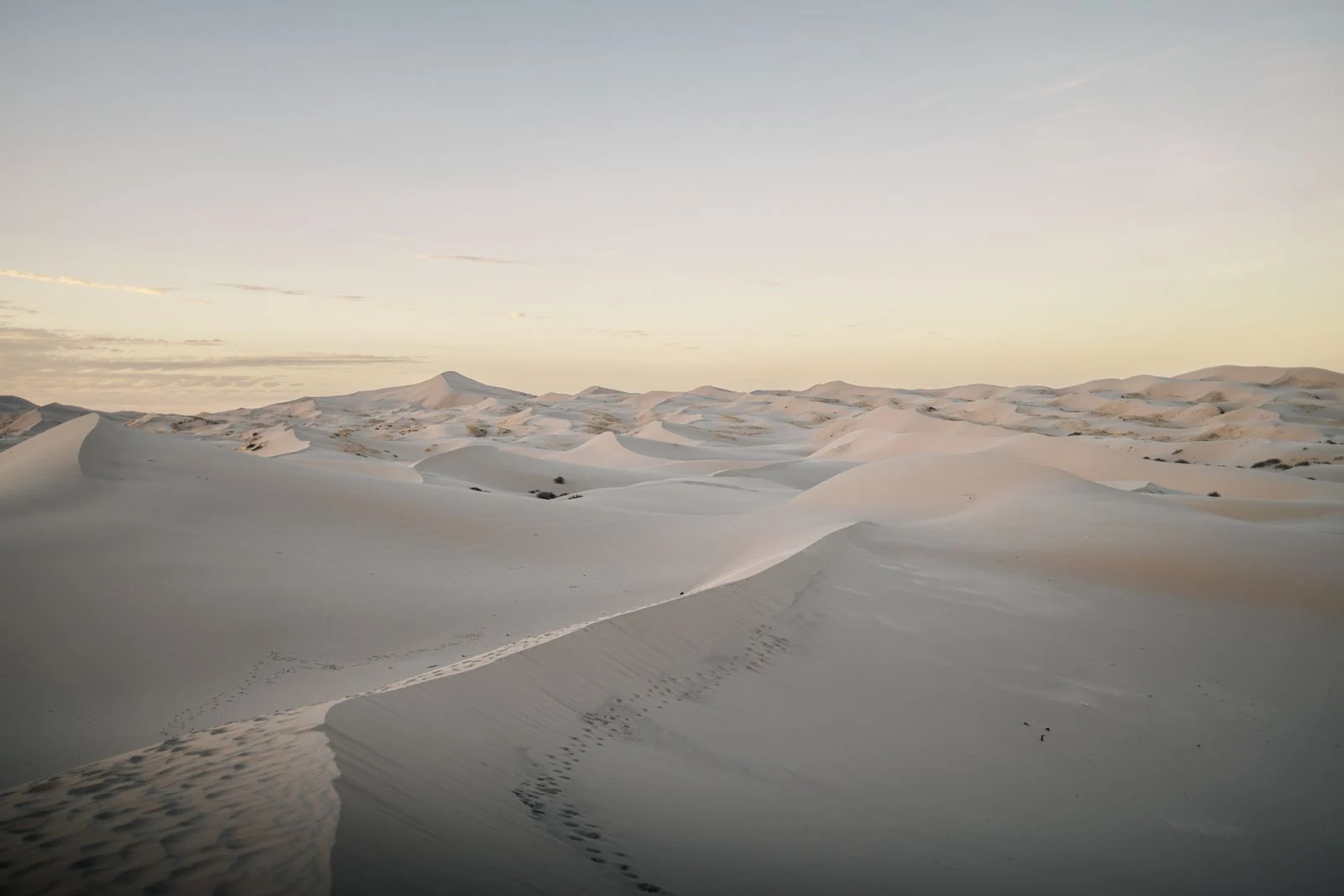 Dunas de arena de Samalayuca, Chihuahua